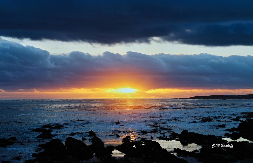 Walkerbay Accommodation Gansbaai Exterior photo
